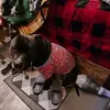 Eloy Silva - @eloy.silva3 - TikTok