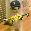 😎Pollito Sanchez 🤑 - @elpidio.barrera.s - TikTok