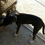 Elpidio Diaz - @elpidio.diaz.73 - Instagram