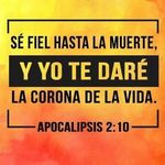 Elpidio Diaz - @elpidio.diaz.5492 - Instagram