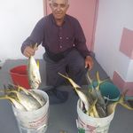 Elpidio Diaz - @elpidio.diaz.3150 - Instagram