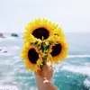 Isabella - @bella_elroy - TikTok