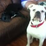 Elroy And George - @elroy_and_george_ - Instagram