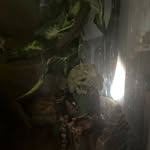 Holden Elrod - @elrodholden - Instagram