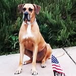 Elroy Johnson - @elroy.johnson.172 - Instagram