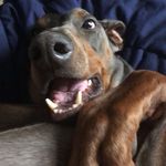 Elroy - @elroy_moore_ - Instagram