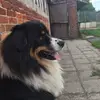 Elsje - @elspeeters70 - TikTok