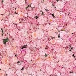 Els - @elssmithx - Instagram