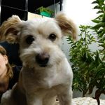 Elsa Acuña - @elsaacuna78 - Instagram