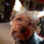 Elsa Alanis - Facebook
