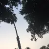 Elsa 🥰 - @elsaalvarez43 - TikTok