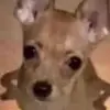 Elsa_Anderson0@ - @elsa_anderson0 - TikTok