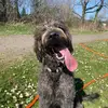 elsaandersonn - @elsaandersonnn - TikTok