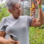 Elsa Bolaños - @elsabolanos1 - Instagram