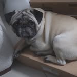 Elsa Maria Ribera Bolaños - @zeus_y_elsa - Instagram