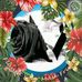 Elsa Chavez - Facebook