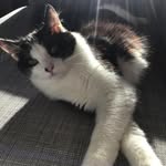 Else Clausen - @clausen.else - Instagram