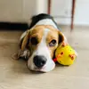 Clifford El Sabueso - @clifford.elsabueso - TikTok