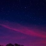 Elsa - @elsacloud_31 - Instagram