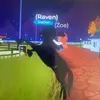Ella Coffey - @horsevalleygirl123 - TikTok