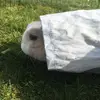 Elsa.är.cool - @elsa.e.coll - TikTok