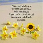 Elsa Maria Alvarez Colon - @elsa7509 - Instagram
