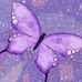 Elsa Conradie - Facebook