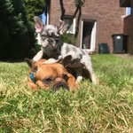 @Elsa🤍 @Cookie 🤍 - @elsa._.cookie - Instagram