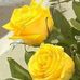 Elsa Cornejo - Facebook