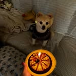 Elsa Cornejo - @elsacornejo50 - Instagram