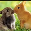 elsacorrales8 - @elsacorrales8 - TikTok