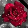 Elsa Cortez - @elsa.cortez75 - TikTok