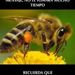 Elsa Corzo - Facebook