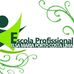 Professora Elsa Maria Porto Costa Lima EEEP - Facebook