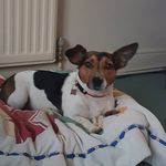 Elsa cox - @littlelegs1320 - Instagram