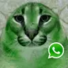 elsacoxd - @elsacoxd - TikTok