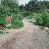 Lisbeth - @elsa.maribel.cox - TikTok