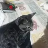 Elsa Cueva - @elsacueva4 - TikTok