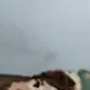 Cullen Elsa - @cullen.elsa - TikTok