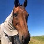 Elisa Cunningham - @e.midds.18 - Instagram