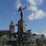 Elsa Curiel - @curiel_elsa - Instagram