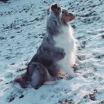 Elsa_Curry - @curry_elsa - Instagram