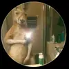 el causado - @henrygarcia1560 - TikTok