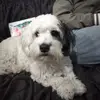 elsacusi - @elsacusi - TikTok