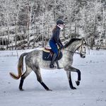 Elsa Dahlström - @elsadahlstromh - Instagram
