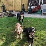 The Three Rescues - @elsa_dahlia_zero - Instagram