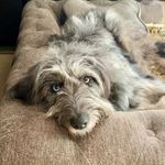Elsa Dale - @caregiver_2now - Instagram