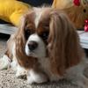 Ella Daugherty - @ella_daugherty - TikTok