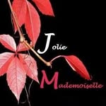 Elsa David - @joliemademoiselleesthetique - Instagram