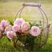 Elsa Davidson - Facebook